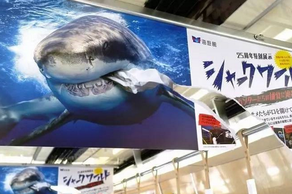 這是一張海報的正反面。人們很容易被這個破損的不尋常海報吸引注意力。