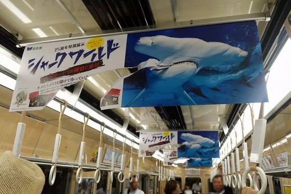 這是一張海報的正反面。人們很容易被這個破損的不尋常海報吸引注意力。