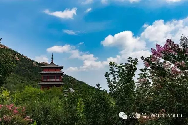 花期已過葉還未紅 去赤山賞云吧！