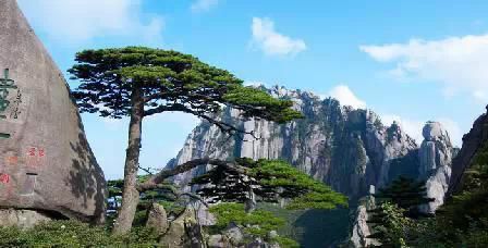 門(mén)票那么貴 沒(méi)法玩耍了！