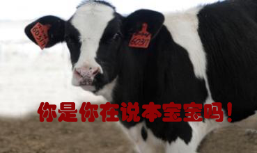 關(guān)我什么事！