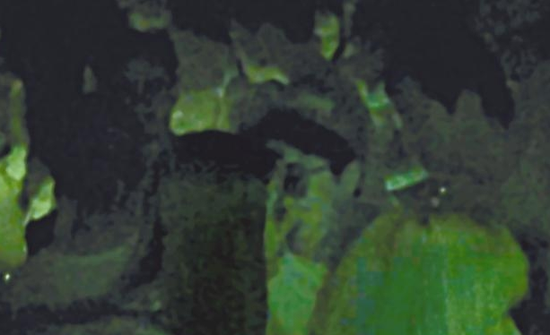 房祖名去年被港媒直擊在中環(huán)夜店與長發(fā)妞互動曖昧，女生正是Nana