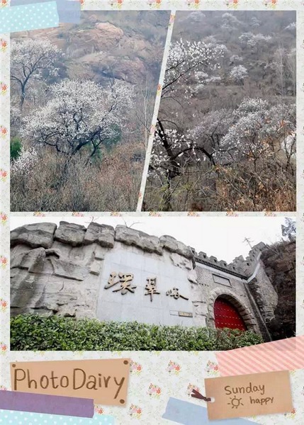 到啦！先看看風(fēng)景
