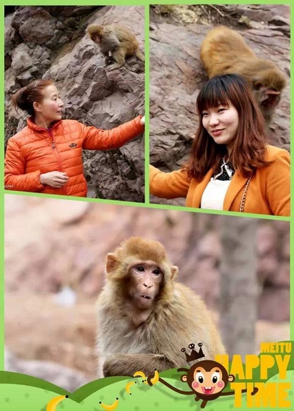 猴子也喜歡美女哦！