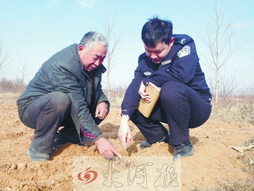 牡丹苗被盜之后，郭萬通又補種的牡丹苗已經(jīng)發(fā)芽