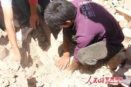 小黃狗露出了鼻子。王生元/攝