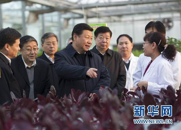 27日下午，習(xí)近平在山東省農(nóng)業(yè)科學(xué)院智能化溫室了解農(nóng)業(yè)科技創(chuàng)新情況。