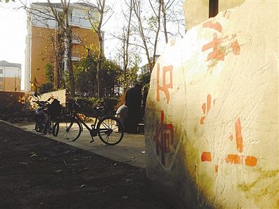 昨日，“上海奇石盆景博物館”原址上，已矗立起小區(qū)樓盤，而刻著博物館名的巨石，廢棄在一旁。本版圖片/新京報記者 張永生 攝