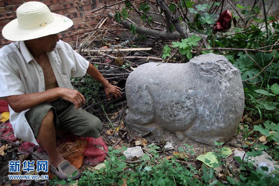 朝陽鎮(zhèn)后李村業(yè)余文保隊員，今年65歲的李連堂在上世紀平整土地時候，從地里挖出一個石羊殘身，至今仍放在