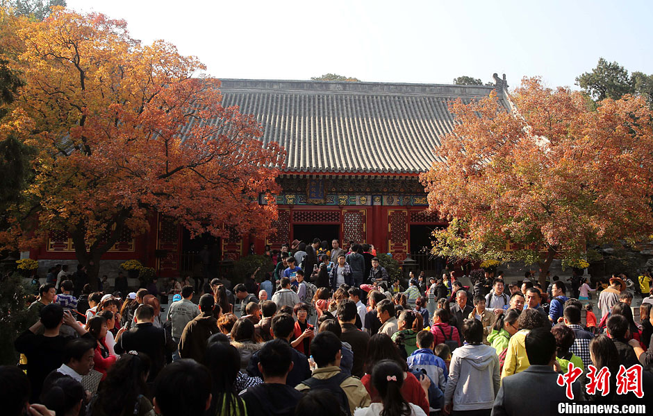 　10月26日，北京香山公園內(nèi)游客摩肩接踵。