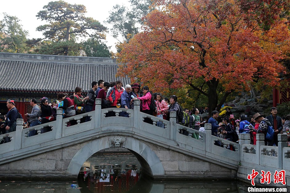 　10月26日，北京香山公園內(nèi)游客摩肩接踵。