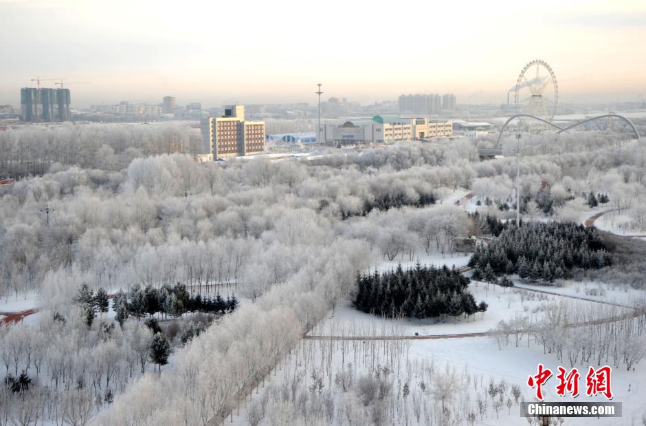 12月10日,受降溫天氣影響,黑河市黑龍江江畔出現(xiàn)綿延數(shù)公里的霧凇景觀。