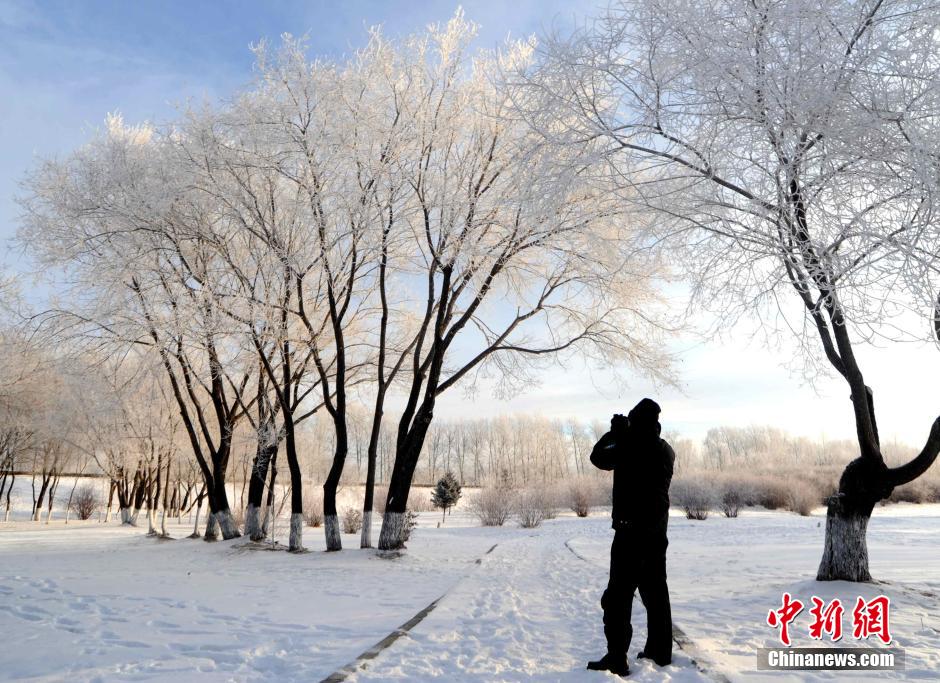 12月10日,受降溫天氣影響,黑河市黑龍江江畔出現(xiàn)綿延數(shù)公里的霧凇景觀。