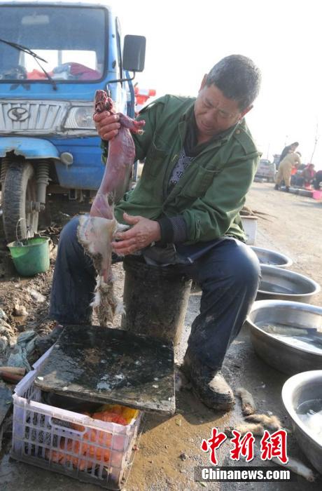 圖為12月1日，104國道靜?？h城附近，顧客挑好后，商販拎著死兔將皮完整地扒下來。田寶希 攝 圖片來