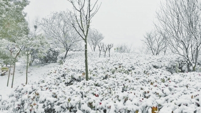 河南多地迎來今年首場(chǎng)降雪 部分地區(qū)今日雪停