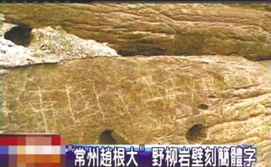 “常州趙根大” 2009年3月27日，臺(tái)灣北海岸野柳地質(zhì)公園巖壁上被刻下“中國(guó)常州趙根大”字樣。臺(tái)灣媒體將此事報(bào)道后，趙根大公開(kāi)道歉。