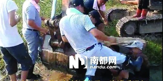 幾名戴黑帽的男子將一名老人推入水塘，后反復腳踹。