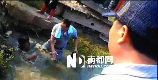 男子沒入水塘后試圖反抗，遭戴黑帽男子毆打。視頻截圖