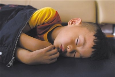 9月6日，等待錄制節(jié)目的多多躺在沙發(fā)上熟睡。新京報記者 侯少卿 攝