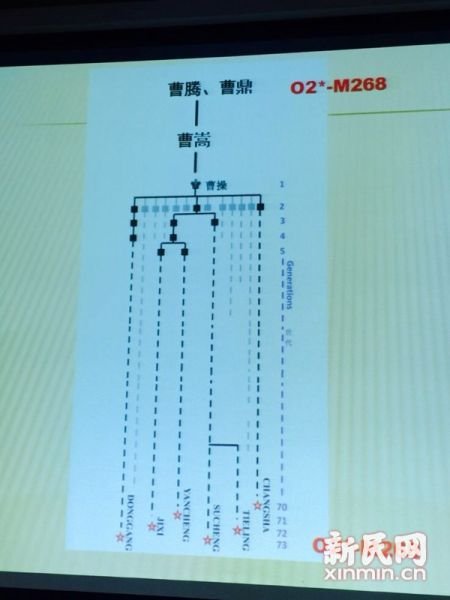 圖說：復(fù)旦課題組發(fā)布曹操家族DNA研究結(jié)果。新民網(wǎng) 記者 李欣 攝