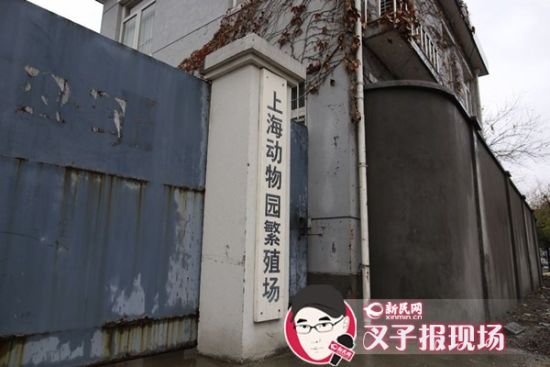 圖說：新民網(wǎng)記者趕到時，上海動物園繁殖場大門緊閉。新民網(wǎng) 記者 蕭君瑋 攝