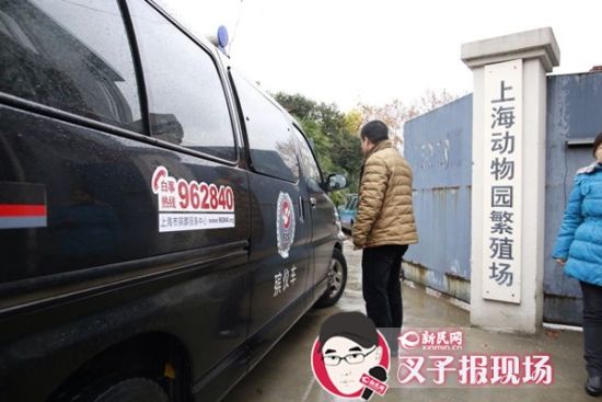 殯葬車到達現(xiàn)場。新民網(wǎng) 記者 蕭君瑋 攝
