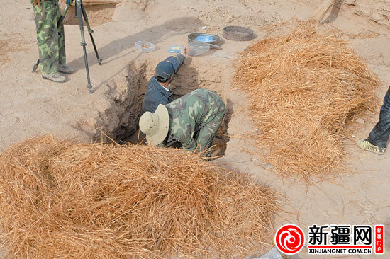 考古人員正在清理麥稈。（圖由中國(guó)科學(xué)院人文學(xué)院科技室與科技考古系提供）
