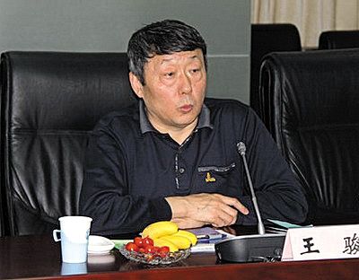 國家能源局新能源和可再生能源司司長王駿。