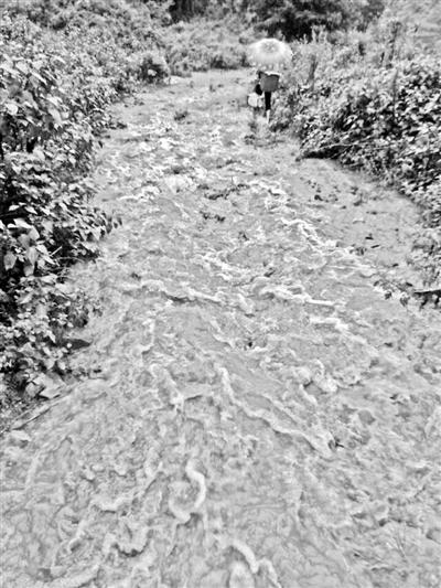 梅子回家的山道，晴天是路，雨天是河