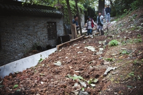 27日，天心區(qū)青山祠福王墓附近，小山坡被人開(kāi)墾成梯田種菜?！　D/實(shí)習(xí)生蔣麗梅
