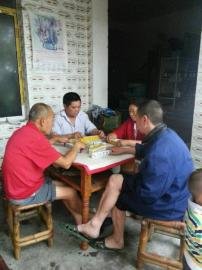 掃水掃不及，胥家鎮(zhèn)柏河村的居民干脆打起了麻將。