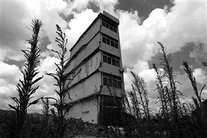 這幢5層的“片片樓”周圍已是一片拆遷后的廢墟，左邊的一堵墻上，不少鋼筋裸露在外面 圖片來源：新華網(wǎng)