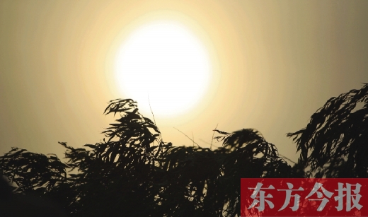 五月十四日，傍晚時分，鄭州的天空再次被沙塵遮蓋