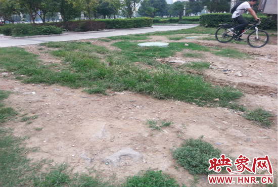 公園內(nèi)大片草坪遭到破壞。