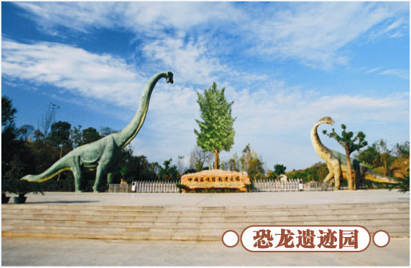 圣誕去哪兒？省內(nèi)歡樂(lè)地推薦