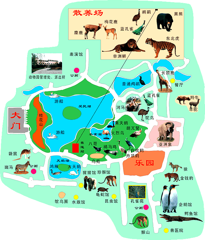 河南首次引進(jìn)的非洲長(zhǎng)頸鹿落戶鄭州