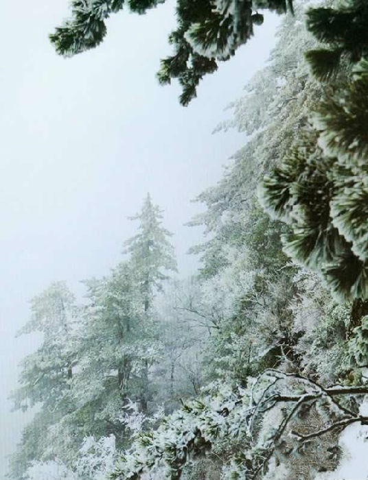 又是霧霾天 省內(nèi)洗肺游線路推薦