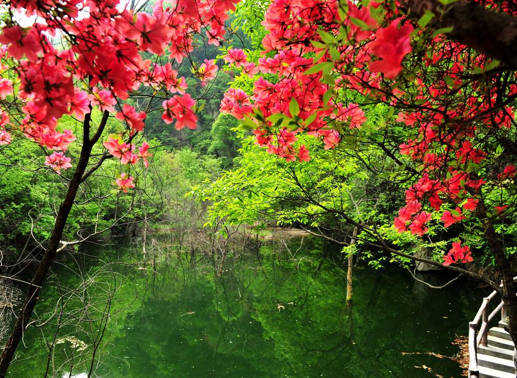 母親節(jié)河南景區(qū)優(yōu)惠大波來襲！