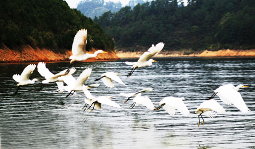 考完去哪兒？千島湖中、高考生門(mén)票大優(yōu)惠！