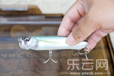 　　又稱(chēng)擬餌釣魚(yú),起源于歐洲,國(guó)內(nèi)翻譯為“路亞”。