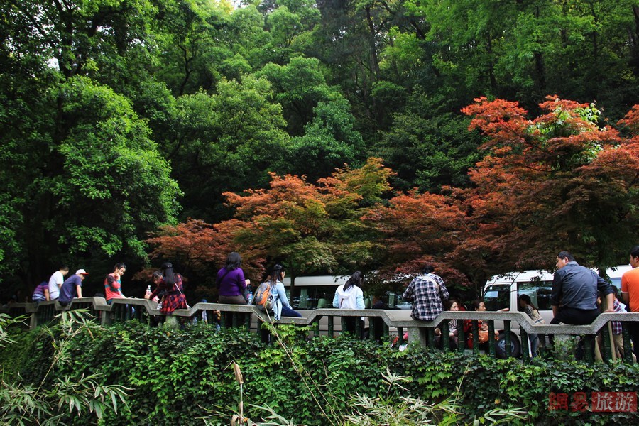 愛晚亭 岳麓山山下賞紅葉