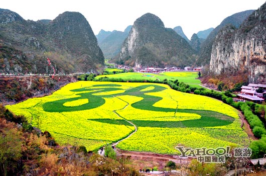　　貴州油菜花景自以“立體多層,起伏跌宕”的油菜花景觀著稱。(圖片來源:CFP)