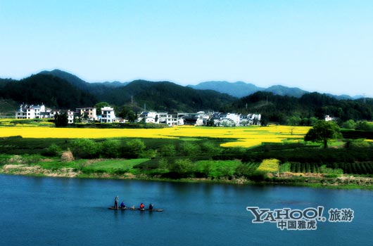 　　婺源號稱是中國最美麗的鄉(xiāng)村,她最美麗的季節(jié)是三月中下旬。(圖片來源:CFP)