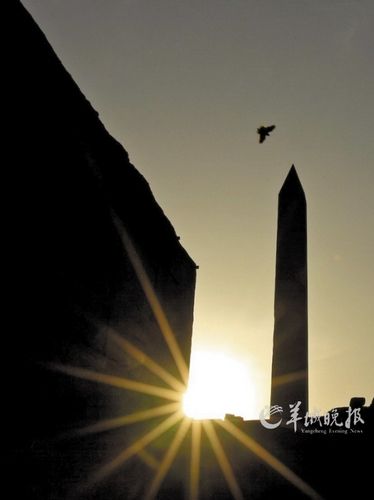 　　埃及盧克索市卡納克神廟,夕陽下鳥兒飛過方尖碑。才揚(yáng) 攝
