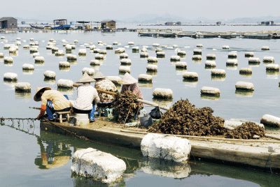 以漁為生，造就了他們不同于內(nèi)地的口味