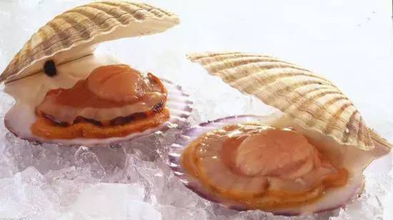 秋季最適合吃的海鮮是這10種 你吃對(duì)了嗎？
