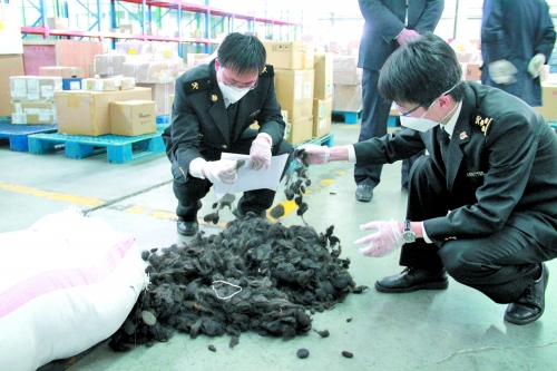 這批“廢人發(fā)”是在鄭州機場海關被查獲的