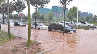 昨日，信陽突降暴雨，路面積水已淹沒輪胎。首席記者 何正權(quán) 通訊員 楊小燕 攝影