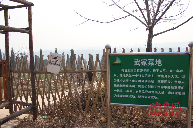 武家菜地就是這，據(jù)說里面有個特大的蘿卜