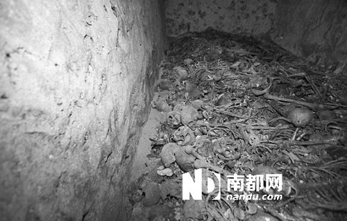 　5月29日，在以色列特拉維夫市雅法地區(qū)，一處集體墳?zāi)贡话l(fā)現(xiàn)。